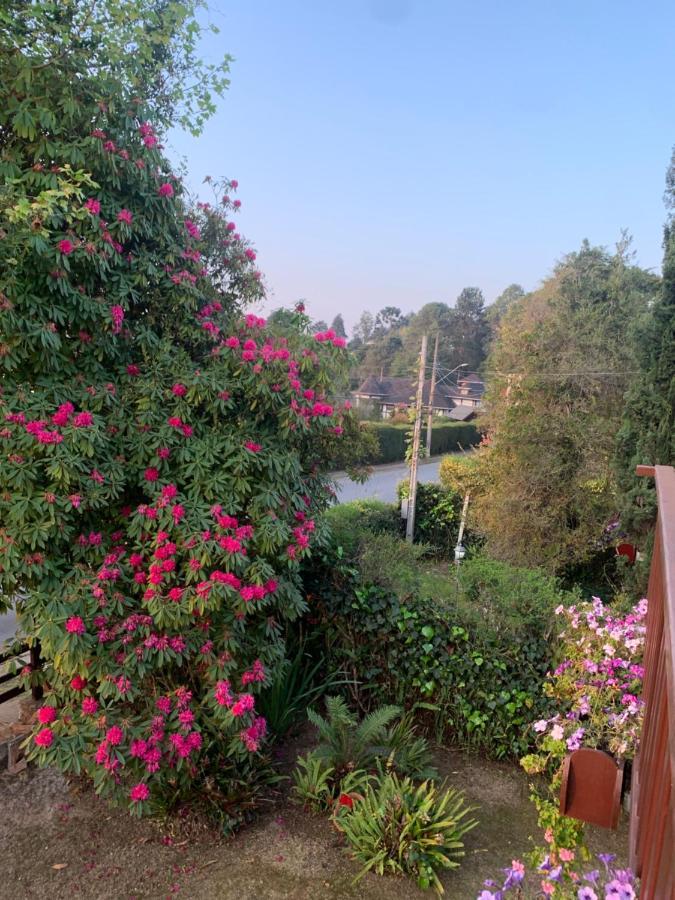Campos do Jordão Linda Casa! Aconchegante E Com Otima Localizacao 빌라 외부 사진