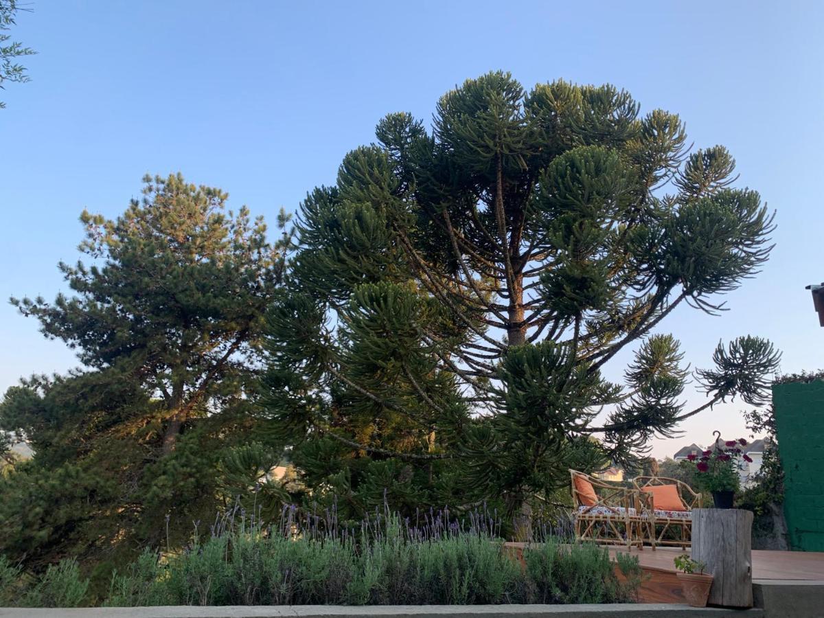 Campos do Jordão Linda Casa! Aconchegante E Com Otima Localizacao 빌라 외부 사진