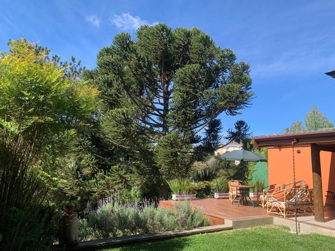 Campos do Jordão Linda Casa! Aconchegante E Com Otima Localizacao 빌라 외부 사진